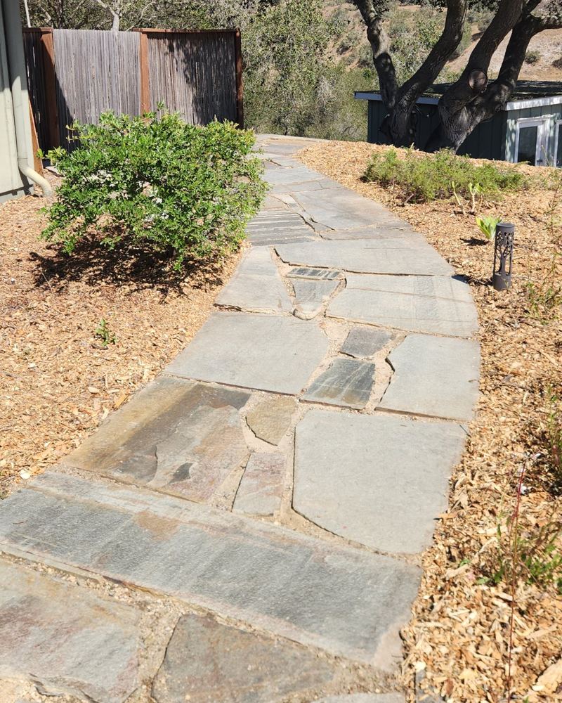 The same flagstone path with clean edges, fresh mulch, and a shaped shrub