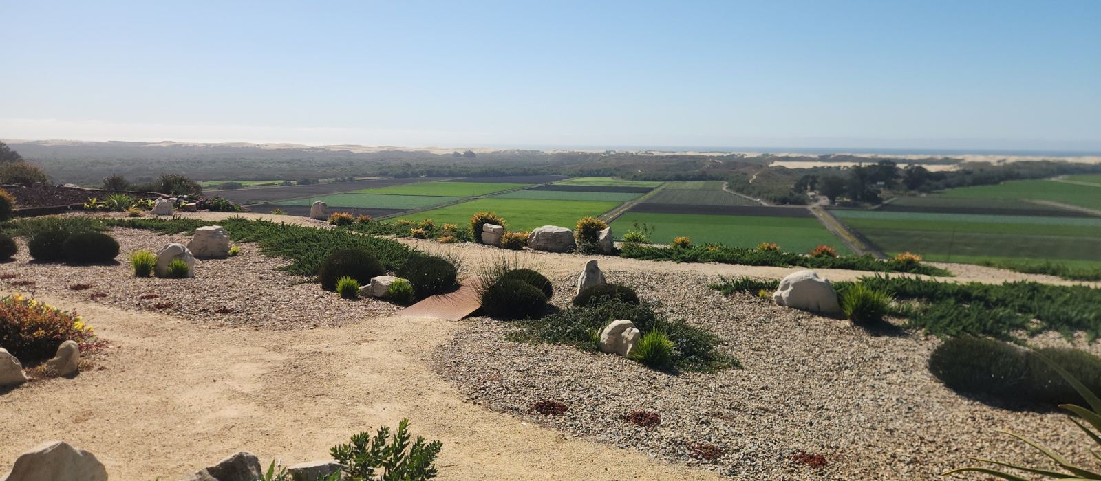 A maintained ridge-top garden of gravel beds and natural shrubs, overlooking farm fields and the dunes